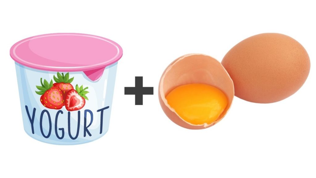 Yogurt and Egg