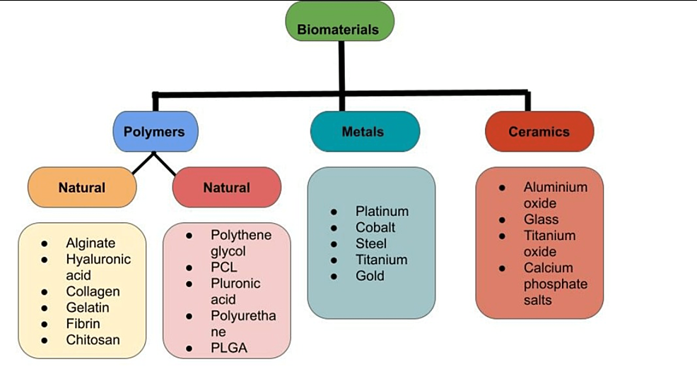 Classification-of-the-Biomaterials-Used-in-Bioprinting-